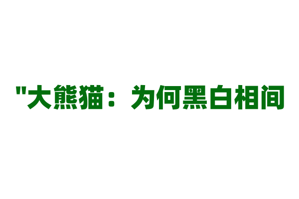 "大熊猫：为何黑白相间？"